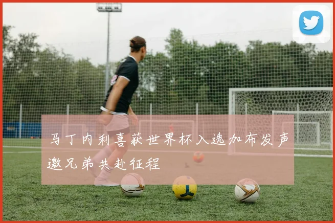 马丁内利喜获世界杯入选加布发声邀兄弟共赴征程